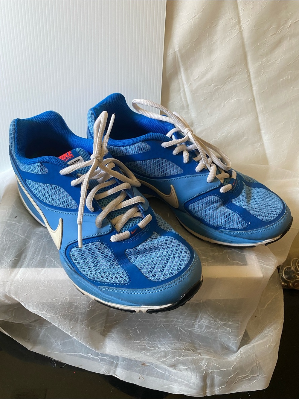 Nike Blue and White Women's Running Sneakers